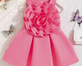 Rosabella Bloom Dress
